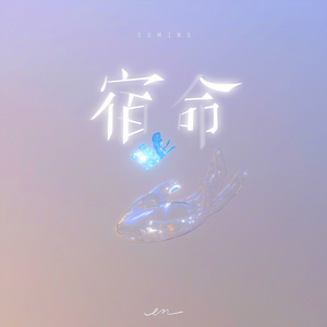 黄片男女操逼大全免费视频观看
